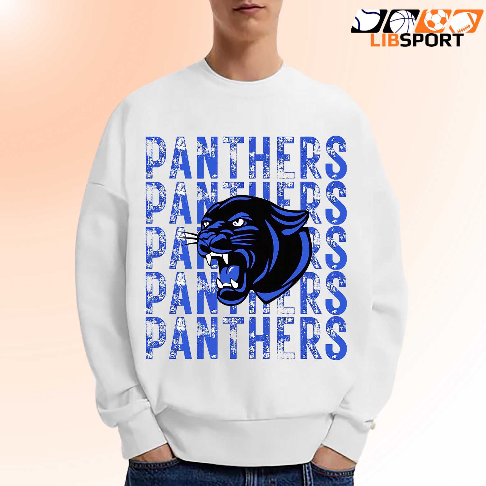 Carolina Panthers Streetwear T Shirt, Unisex Nfl Shirt